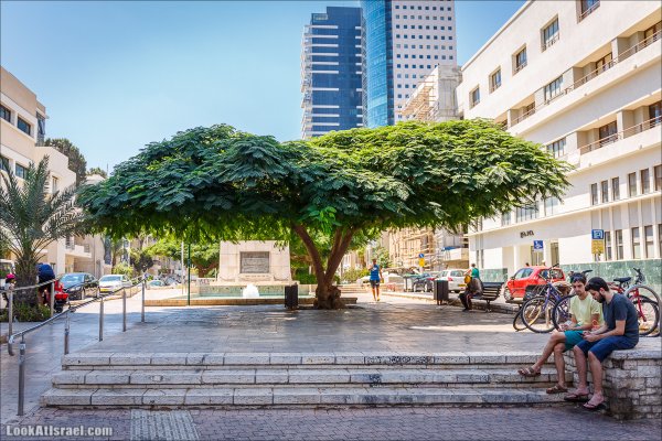 Лето в Израиле фото