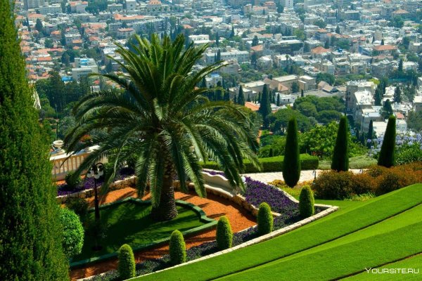 Весна в Израиле