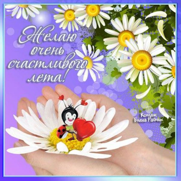Летние пожелания