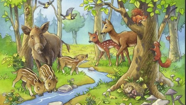 Звери в лесу для детей
