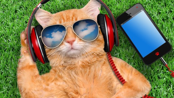 Ютубик ютубик