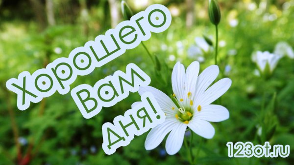 Солнечный день