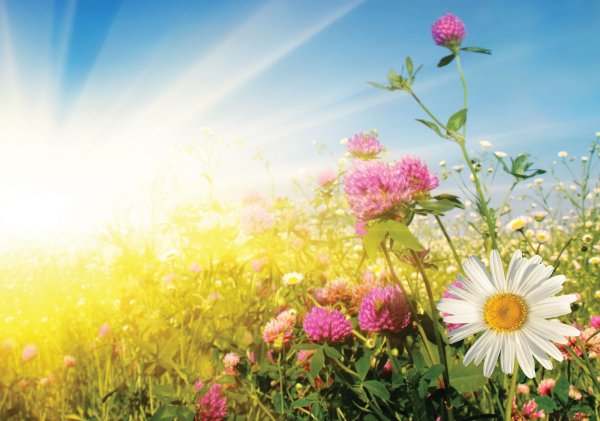 Фон для youtube