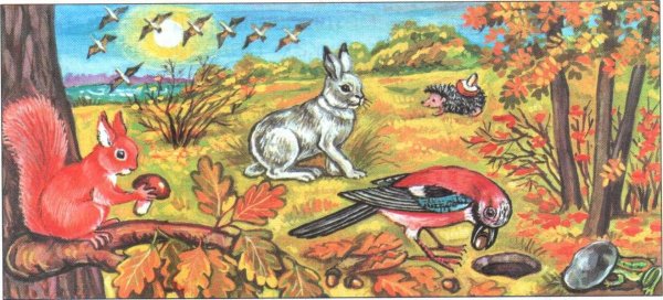 Н Сладков осень в лесу