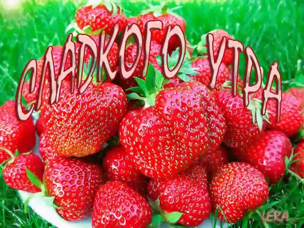 Теплого лета открытки