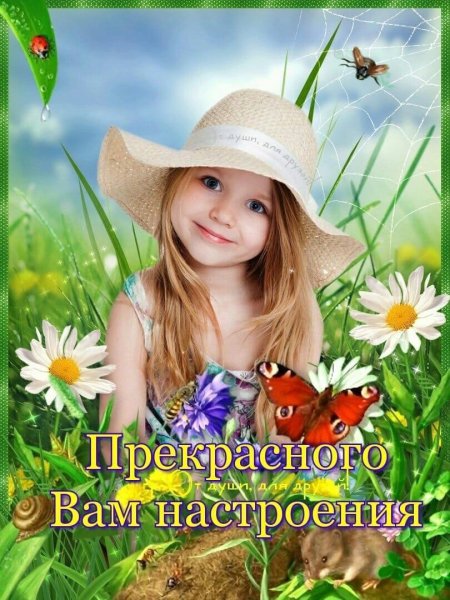 Отличного настроения ромашки