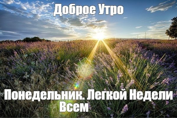 Дтброп летнее утрт понедельниуа