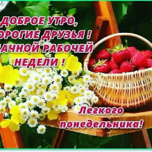 Доброго летнего понедельника