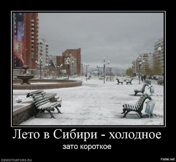 Холодное лето юмор
