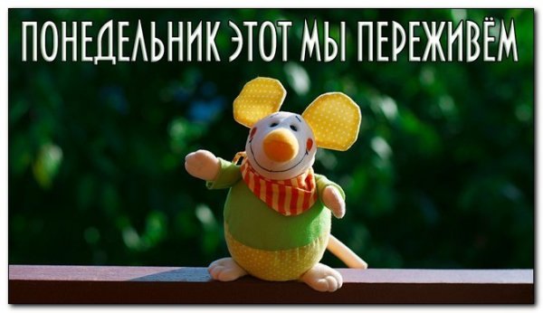 Понедельник позитив