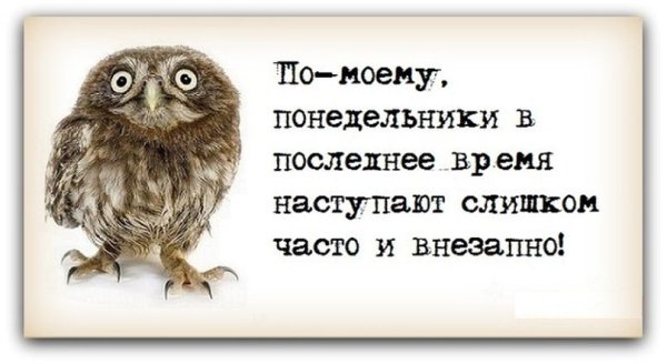 Высказывания ,завтра понедельник