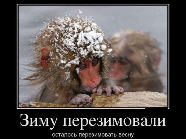 Зима смешно