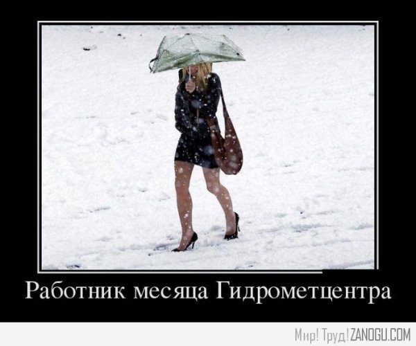 Холодное утро смешно