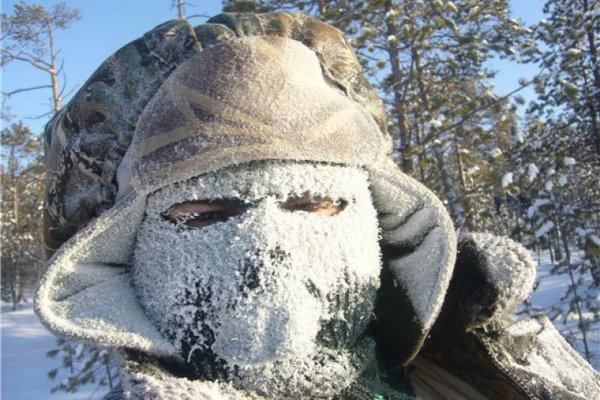 Я зимой Мем