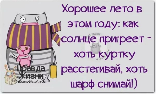 Смешные фразы про Холодное лето