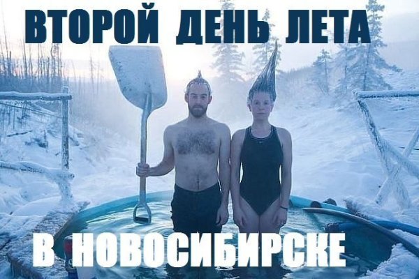 Смешные картинки про лето