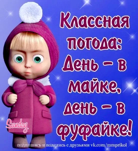 Юмор о холодном лете