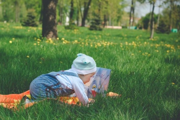 Летние прогулки