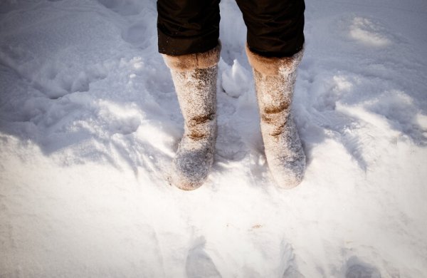 Валенки одетые