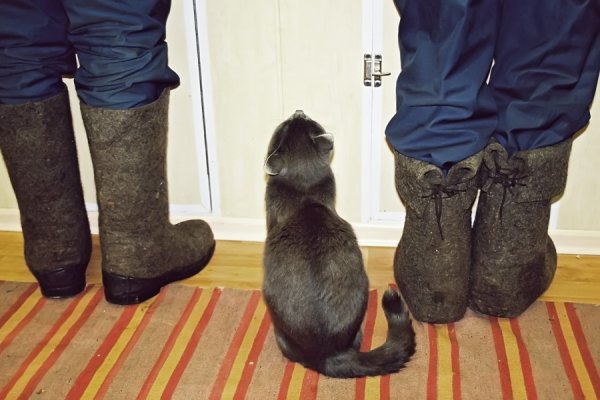 Уральский художник Леонид Баранов картины