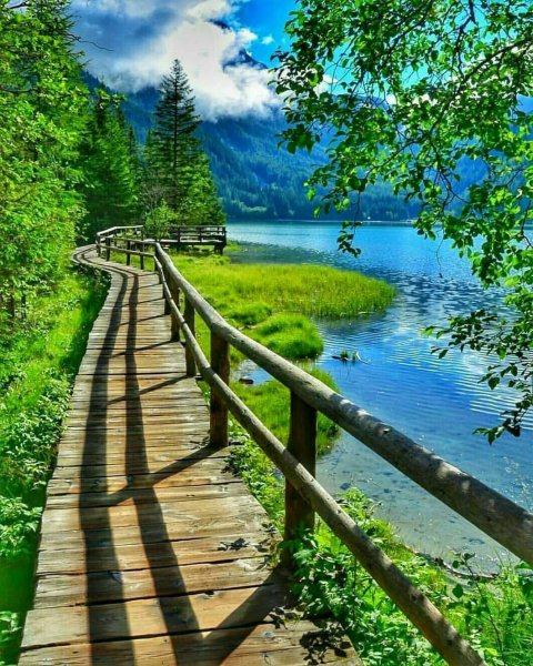 Летняя природа