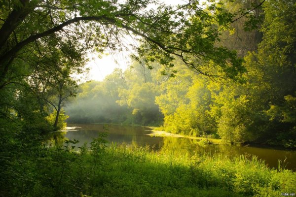 Курск природа