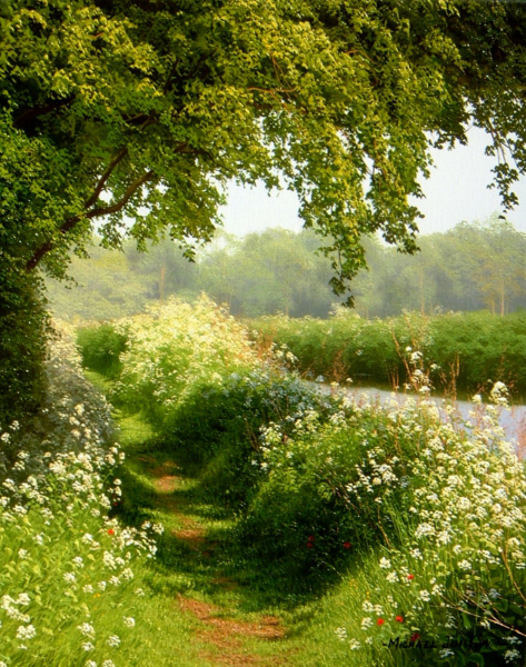 Летняя природа