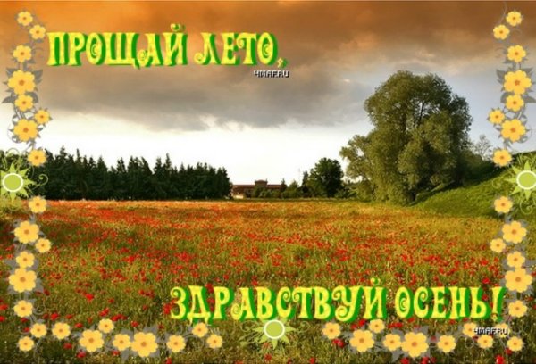 Август пейзаж