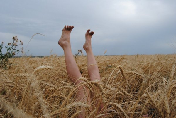 Ура лето каникулы