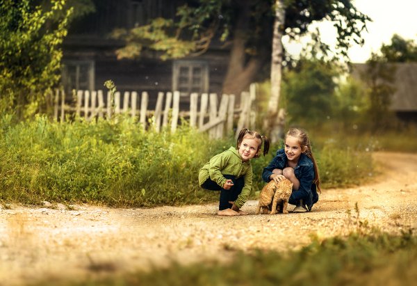 Салки догонялки