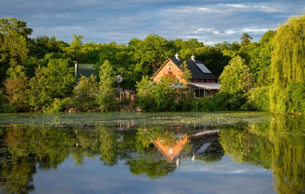 Отчий дом в деревне
