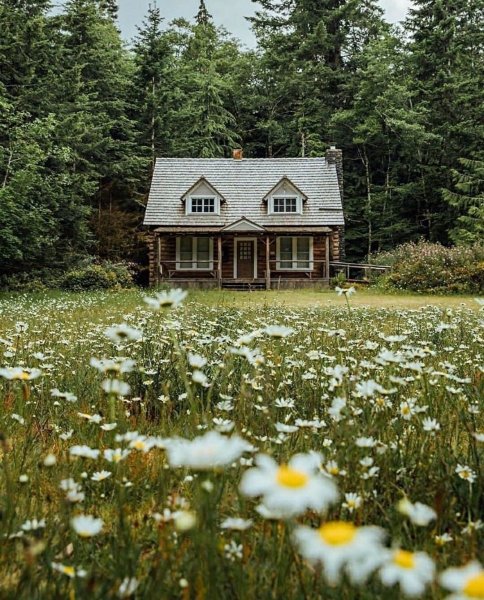 Домик в лесу