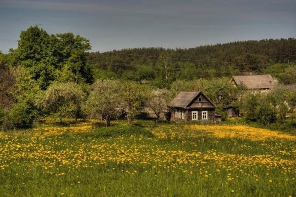Художник Евгений Синев (1952 г.р.).