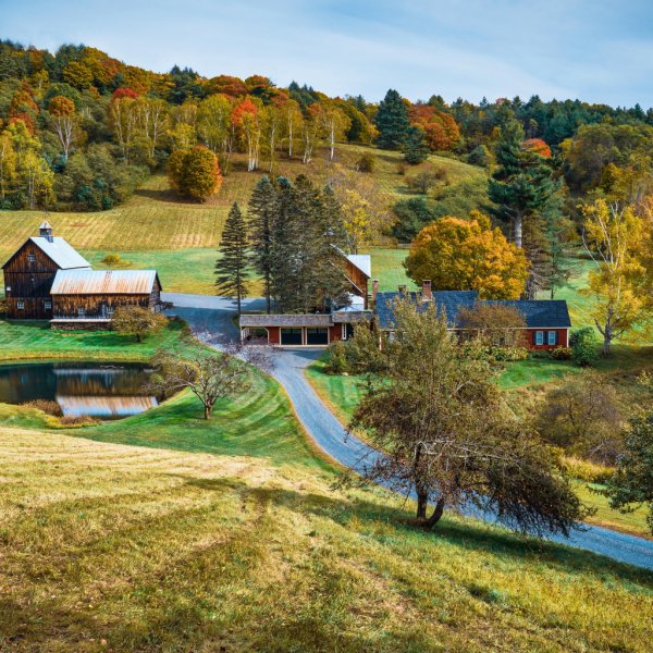 Домик в лесу лето