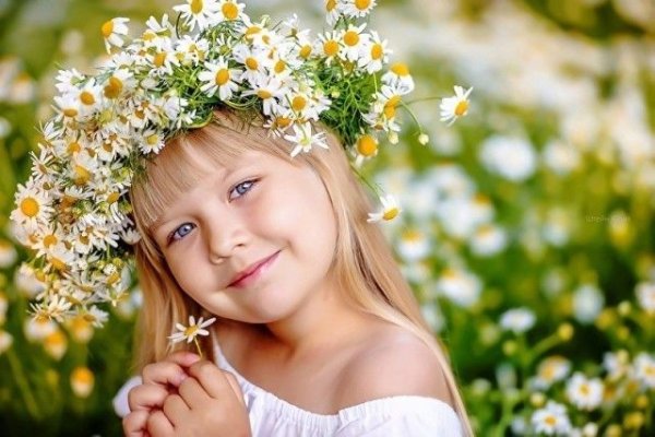 Природа цветочки ромашки и с детьми