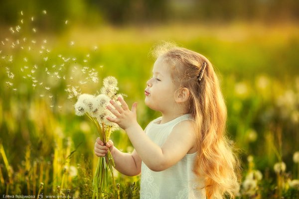 Солнце радость