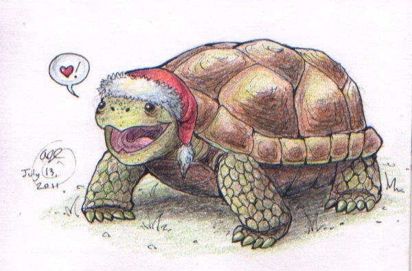 Черепашки ниндзя Никелодеон 2012