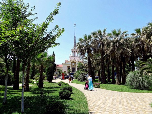 Лазаревское набережная пальмы