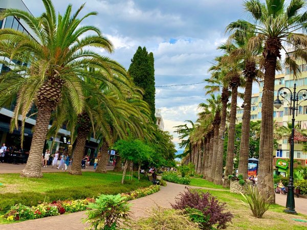 Сочи природа