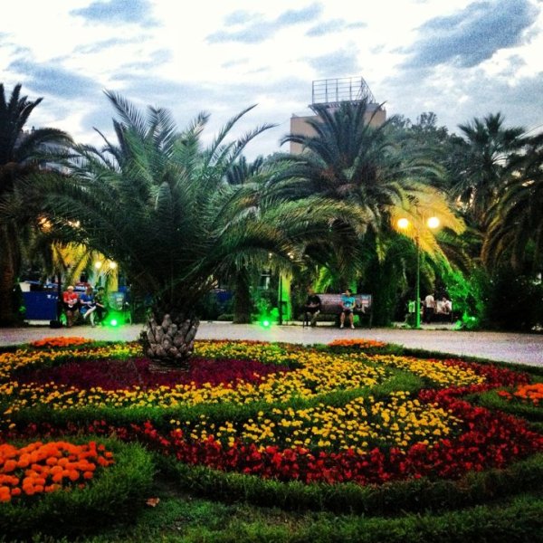 Сочи Олимпийский парк летом