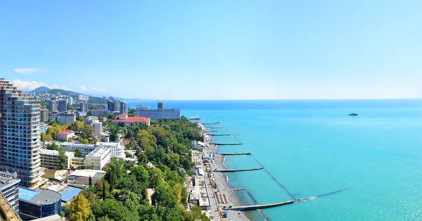 Адлер море пальмы