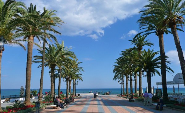 Имеретинка Адлер