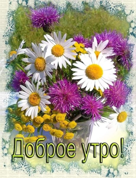 Открытки с добрым утром летние