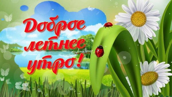 Открытки с добрым утром летние