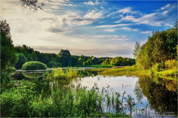 Летние пейзажи Подмосковья
