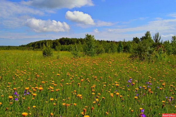 Природа Коломенского района