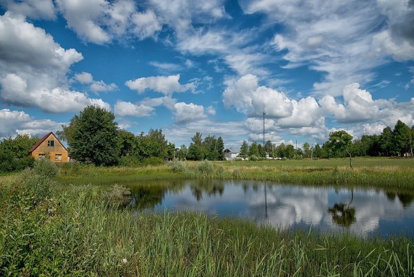 Природа Можайского района