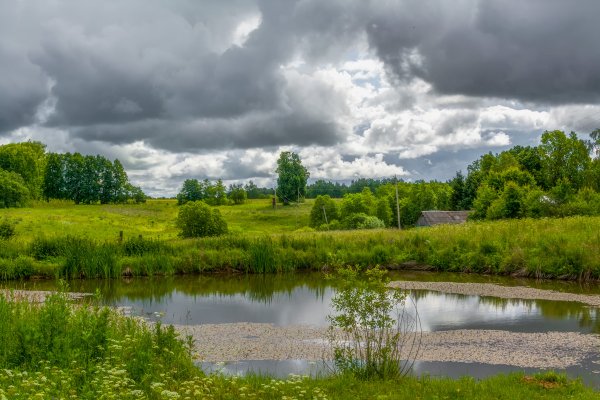 Летние пейзажи Подмосковья