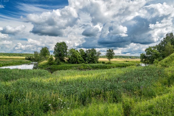 Пейзажи Подмосковья