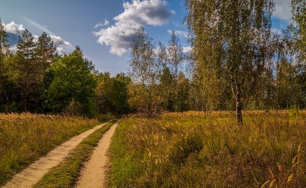 Бабье лето в Подмосковье